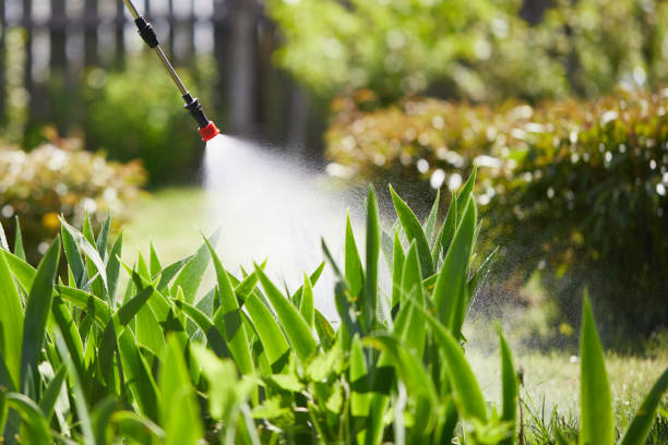 24/7 Emergency Mosquito Control experts in Gardnertown, NY